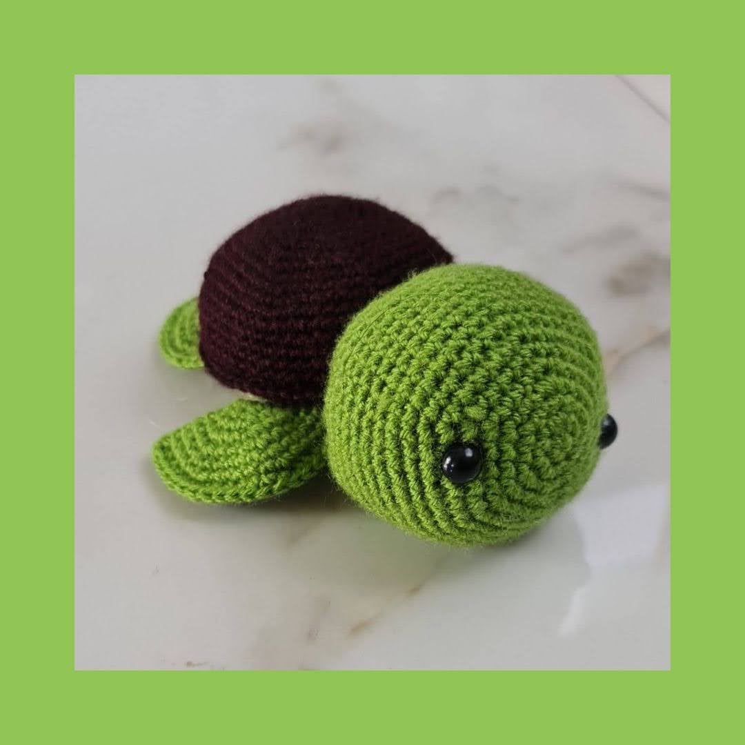 Turtle