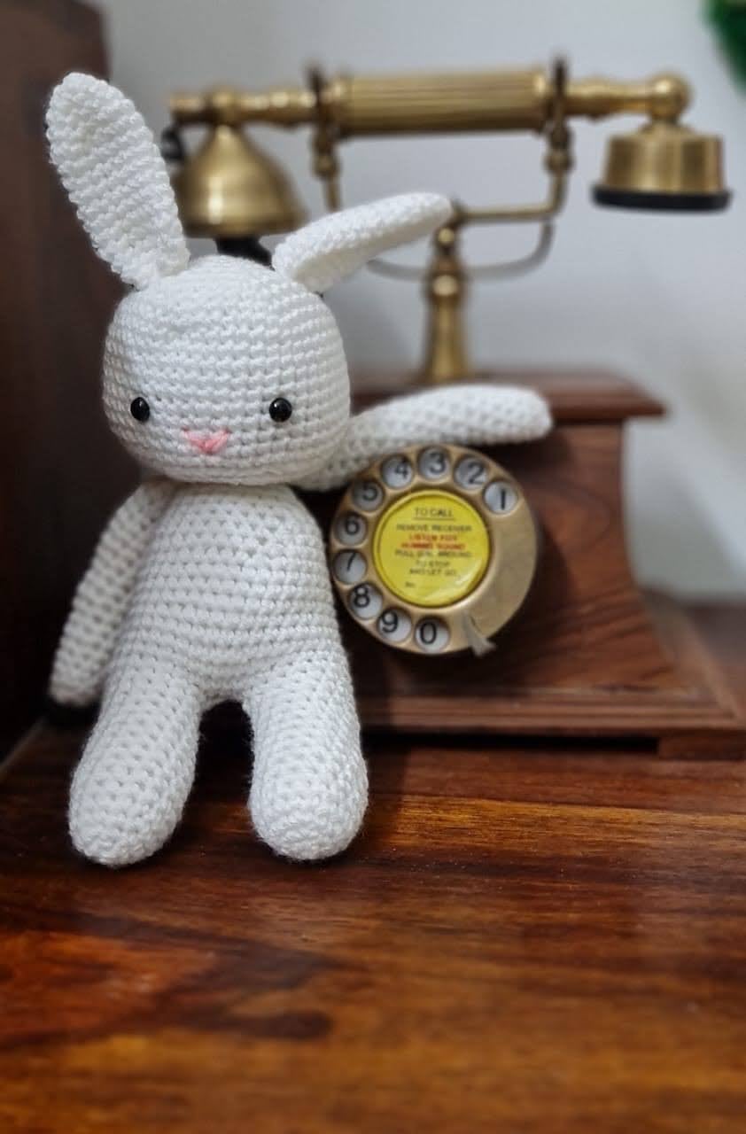 Rabbit